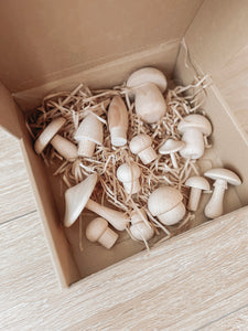 Wooden Mushrooms Discover & Paint Kit