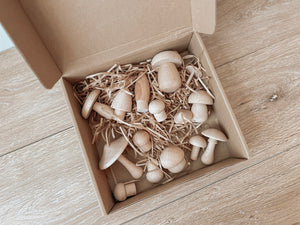 Wooden Mushrooms Discover & Paint Kit